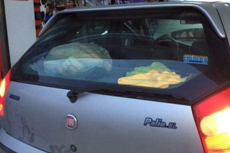 palio spoiler